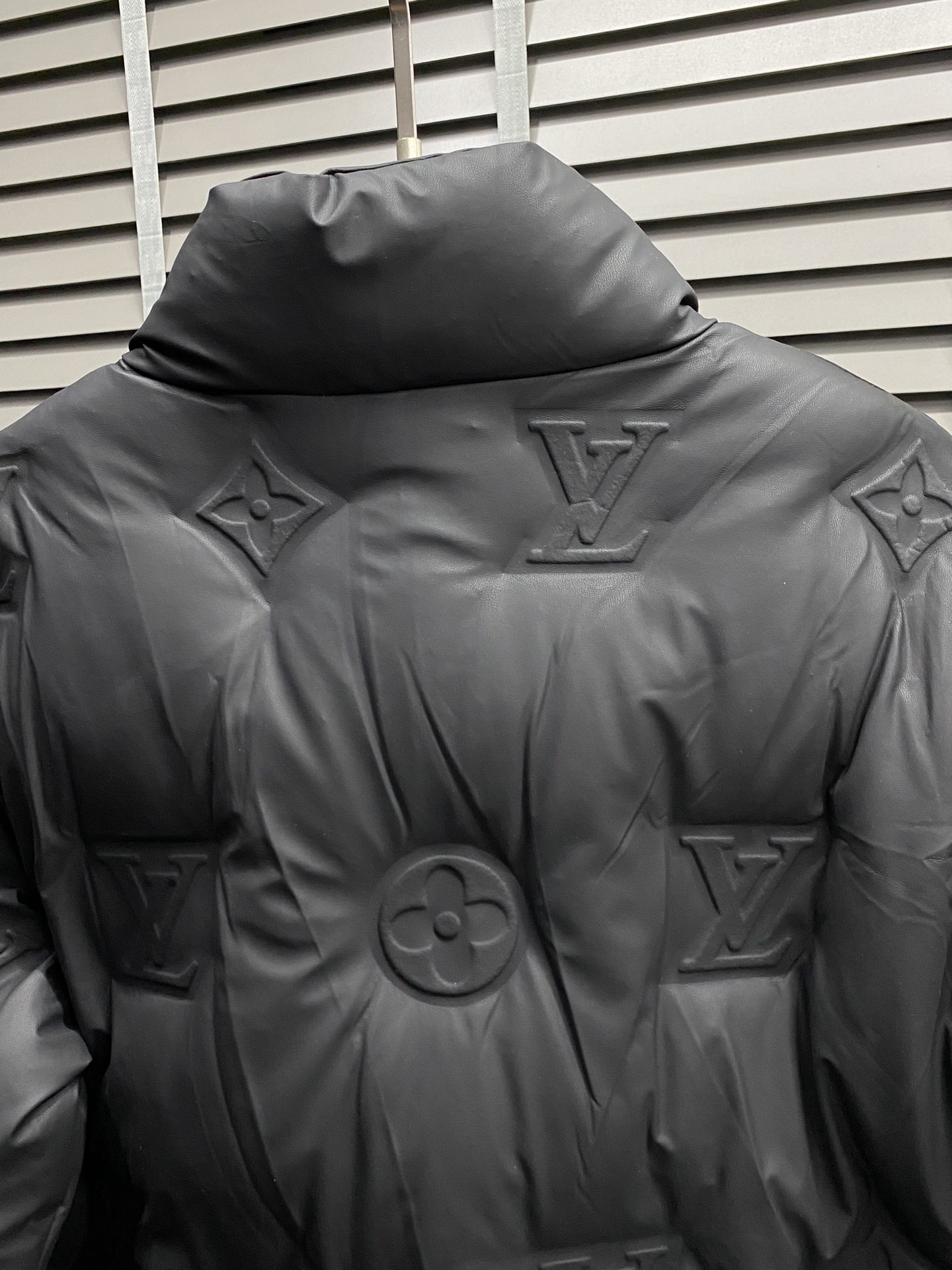 Louis Vuitton Down Jackets